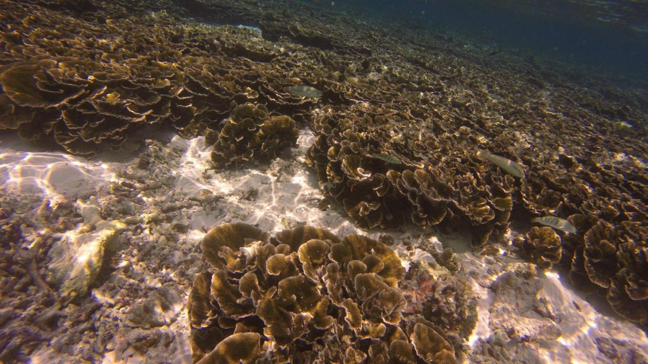 Kaafu Inn Guraidhoo Luaran gambar