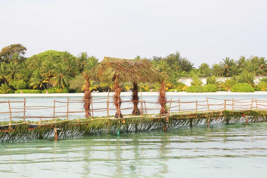 Kaafu Inn Guraidhoo Luaran gambar