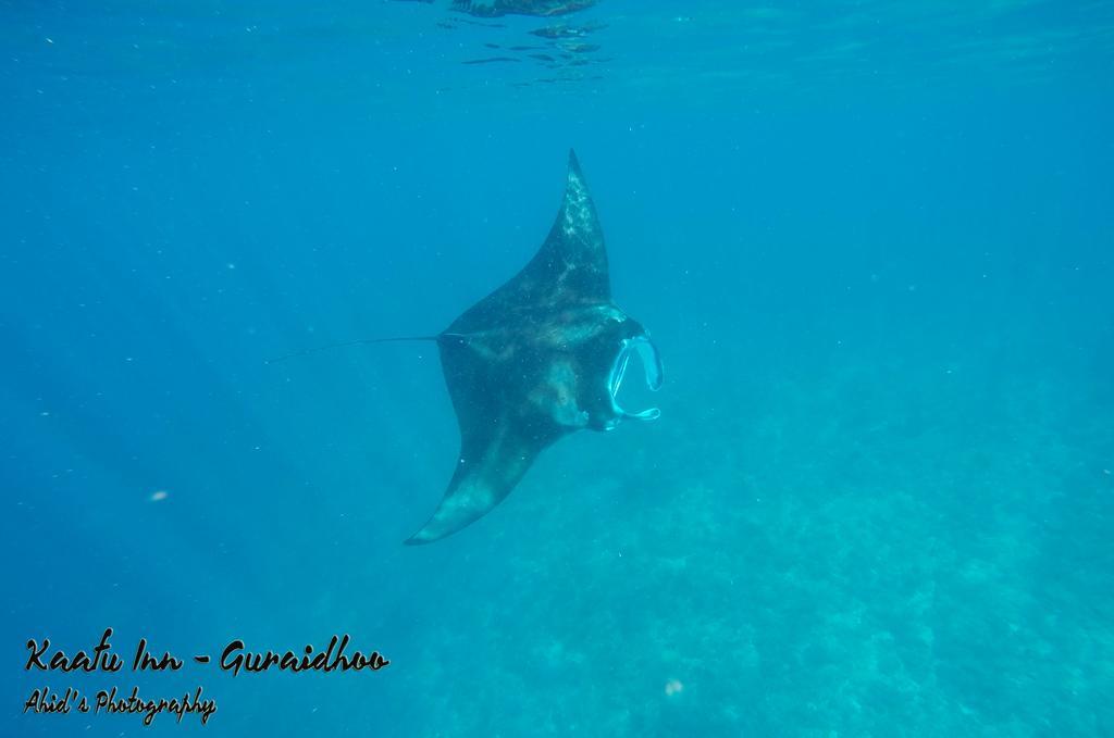 Kaafu Inn Guraidhoo Luaran gambar