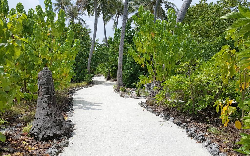 Kaafu Inn Guraidhoo Luaran gambar